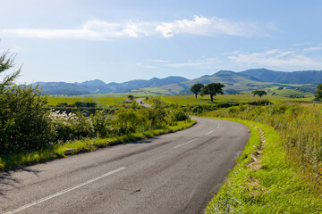 ナイタイ高原の道