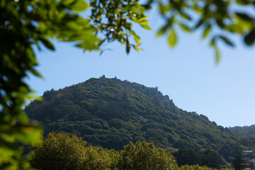 Scenic view of the Castle of the Moors on top of a green hill, surrounded by dense forest and framed by tree branches, Sintra, Portugal.