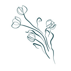 Fototapeta premium tulip flower line art isolated vector illustration