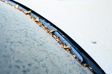The first drops of water reach the surface of a dirty car requiring washing and cleaning, leading to corrosion and vehicle diagnostics at a service center