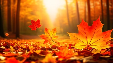 Autumn Leaves Falling in Forest