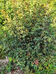 Beautiful nature photos