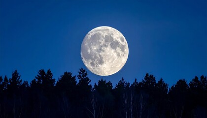 Full moon over dark forest