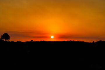 Golden Sunset Landscape