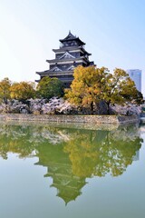 広島城 天守閣と桜