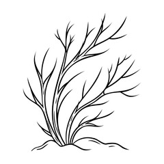 Winter bush thin outline. Hand drawn Vector isolated illustration on white background.