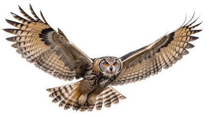 Owl PNG – Realistic Flying Nocturnal Bird on Transparent Background