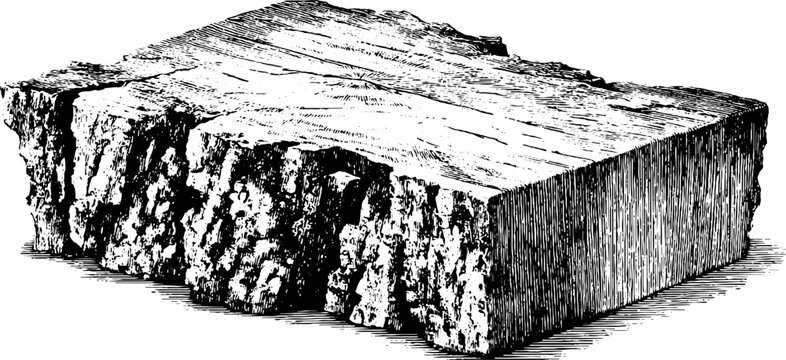 Rustic butcher block in vintage engraving style for culinary and kitchen design