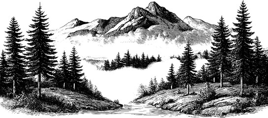 Vintage landscape with misty mountain and pine forest scene for design
