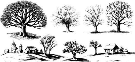 Fototapeta premium Vintage hoarfrost tree sketch set for retro designs and winter themes