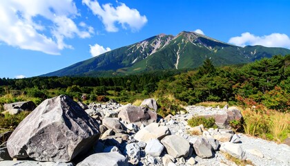 Volcanic peak backdrop behind rock strewn field, with forest belt and bright blue sky