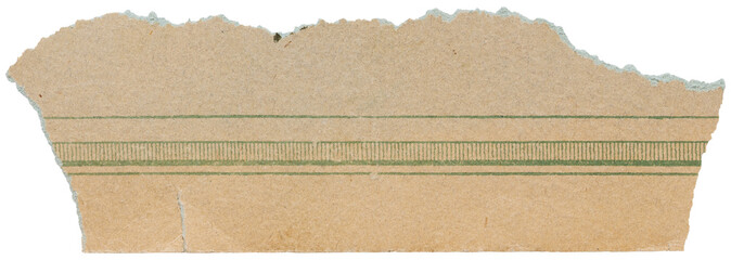 Piece from old faded vintage book page, torn scrap of paper with green pattern isolated for design
