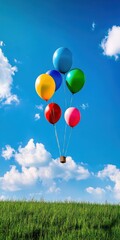 Colorful Balloons Floating with Woven Basket Over Green Field and Blue Sky