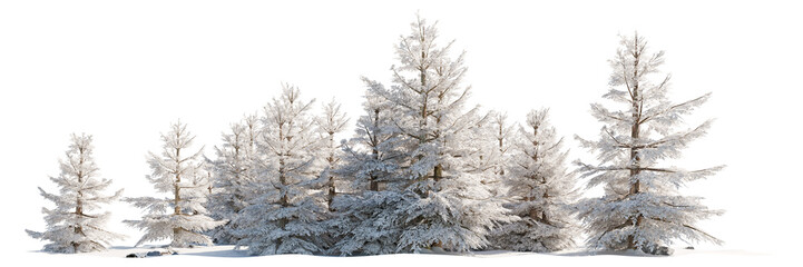 Snow-covered pine forest glowing under winter sunlight, evoking a peaceful frozen wilderness. PNG with transparent background