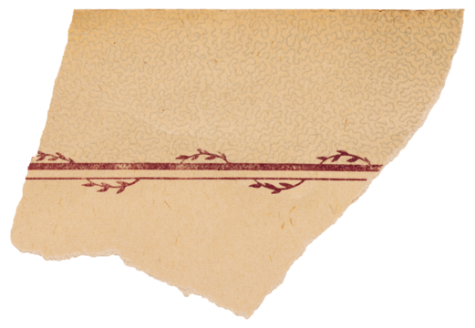 Torn scrap of faded vintage book page, old paper with red floral pattern isolated for collage