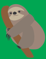 A vector art of a sloth. 
