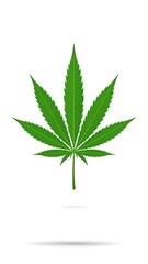 Green cannabis leaf graphic