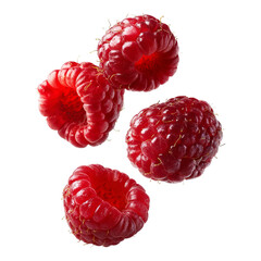 Fresh ripe raspberry isolated on white background closeup of juicy red berry