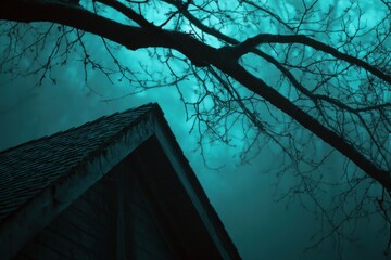 roof and tree branch