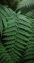 Botanical scene: fern leaves overlapping, dew drops, soft natural forest light.