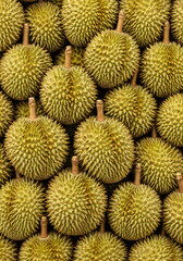 Durian Fruit Background