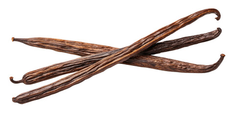 Dried Vanilla Beans Isolated on Transparent Background &ndash; Close-Up Organic Pods
Wrinkled Brown Vanilla Pods &ndash; Realistic Close-Up on Transparent Background