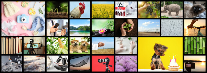 Obraz premium Set of different pictures combined into collage. Banner design