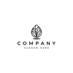 water drop logo with natural leaves in line art abstract illustration design style