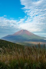 ススキと赤富士