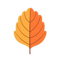 autumn leaf icon illustration on transparent background