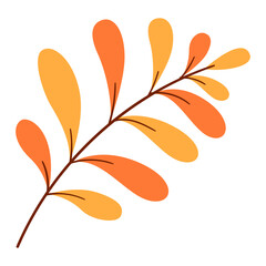 autumn leaf with branch icon illustration on transparent background