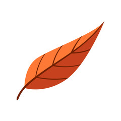 autumn leaf flat icon illustration on transparent background