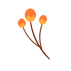 autumn berries icon illustration on transparent background