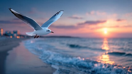 Seagull Soaring over Sandy Beach at Sunset Cinematic Wildlife in Coastal Scenery at Dusk with Soft Golden Light and Blurred Cityscape Background