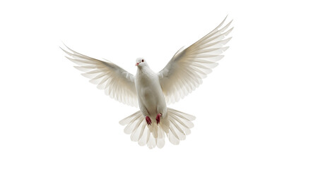 Naklejka premium White dove in flight isolated on white background PNG, symbol of peace and freedom, pure bird with wings spread, flying pigeon image for design, print, web, clipart, transparent file download