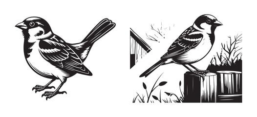Vector Illustration of Perched and Flying Birds
