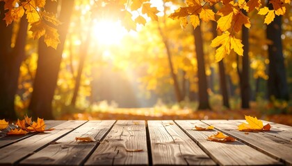 Wooden planks overlook autumn forest with golden sunlight and fallen leaves