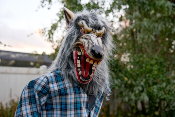 A scary werewolf with long gray fur and wide open jaws shows sharp teeth. Halloween monster portrait outdoors with plaid shirt costume.