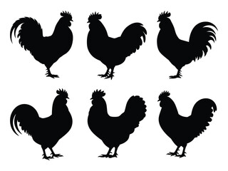 Black chicken set vector illustration with detailed farm animal silhouettes for creative design projects