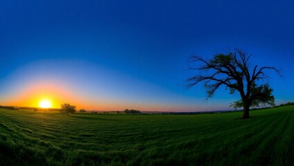 Vast blue sky over a green field at sunset with a lone tree
