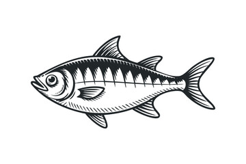 Fototapeta premium Detailed monochrome sketch of a single fish. Vector hand drawn illustration