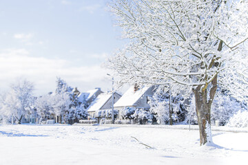 Snow-covered landscape featuring a serene winter scene with frosted trees, white ground, and distant houses, creating a tranquil atmosphere of seasonal beauty and stillness