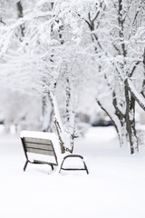 Fototapeta premium Snow-covered bench in a tranquil winter landscape surrounded by frosted trees, creating a serene atmosphere for relaxation and contemplation in a snowy environment