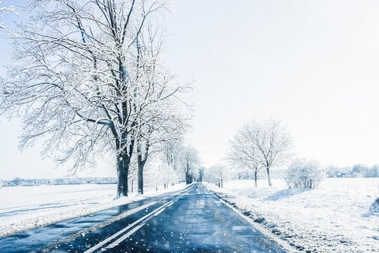 Snow-covered road lined with frosted trees under a bright blue sky, creating a serene winter landscape, inviting exploration and tranquility in nature's beauty - Powered by Adobe