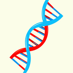 Stylized illustration of a double helix DNA structure in blue and red, symbolizing genetics and biology, against a light background