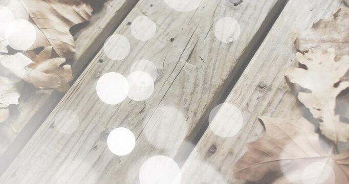 Bokeh circles appearing at bottom drifting diagonally across deck fading creating dreamy overlay