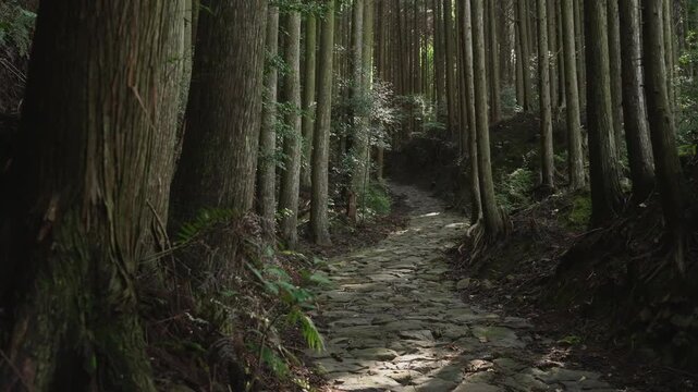 World Heritage Kumano Kodo Nakahechi &ndash; Late Heian Period Stone-Paved Path in Takahara, Tanabe, Wakayama, Japan　世界遺産・熊野古道中辺路「平安時代末期につくられた石畳道」和歌山県田辺市中辺路町高原