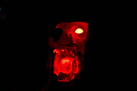A snarling monster dog head glows bright red in the dark. Fangs, open mouth, and fiery eyes create a scary Halloween display.