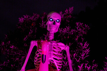 Close up of a towering bony skeleton wearing a pink flamingo pool float. Purple lighting and bushes create a spooky, playful Halloween display.
