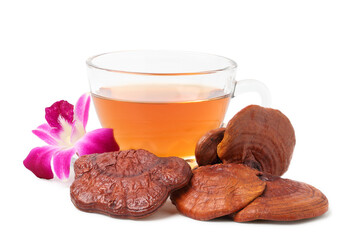 Reishi mushroom tea in a clear cup with dried reishi mushrooms and orchids placed beside it.isolated on white background.